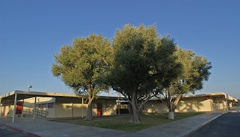 Agua Caliente Elementary
