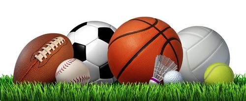 Sports 